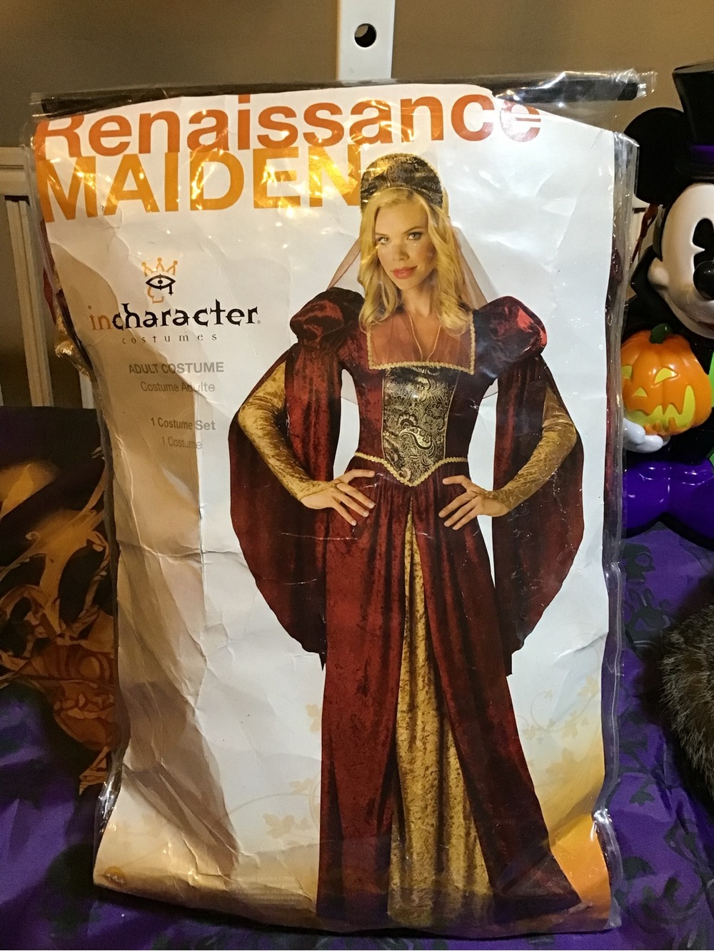 Renaissance maiden adult one size woman dress/costume one size